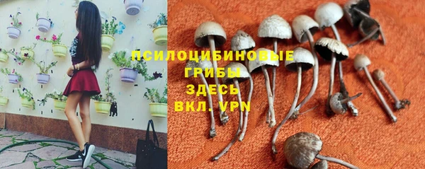 кокаин Алексин