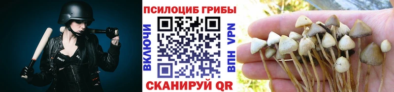 Галлюциногенные грибы MAGIC MUSHROOMS  Домодедово 
